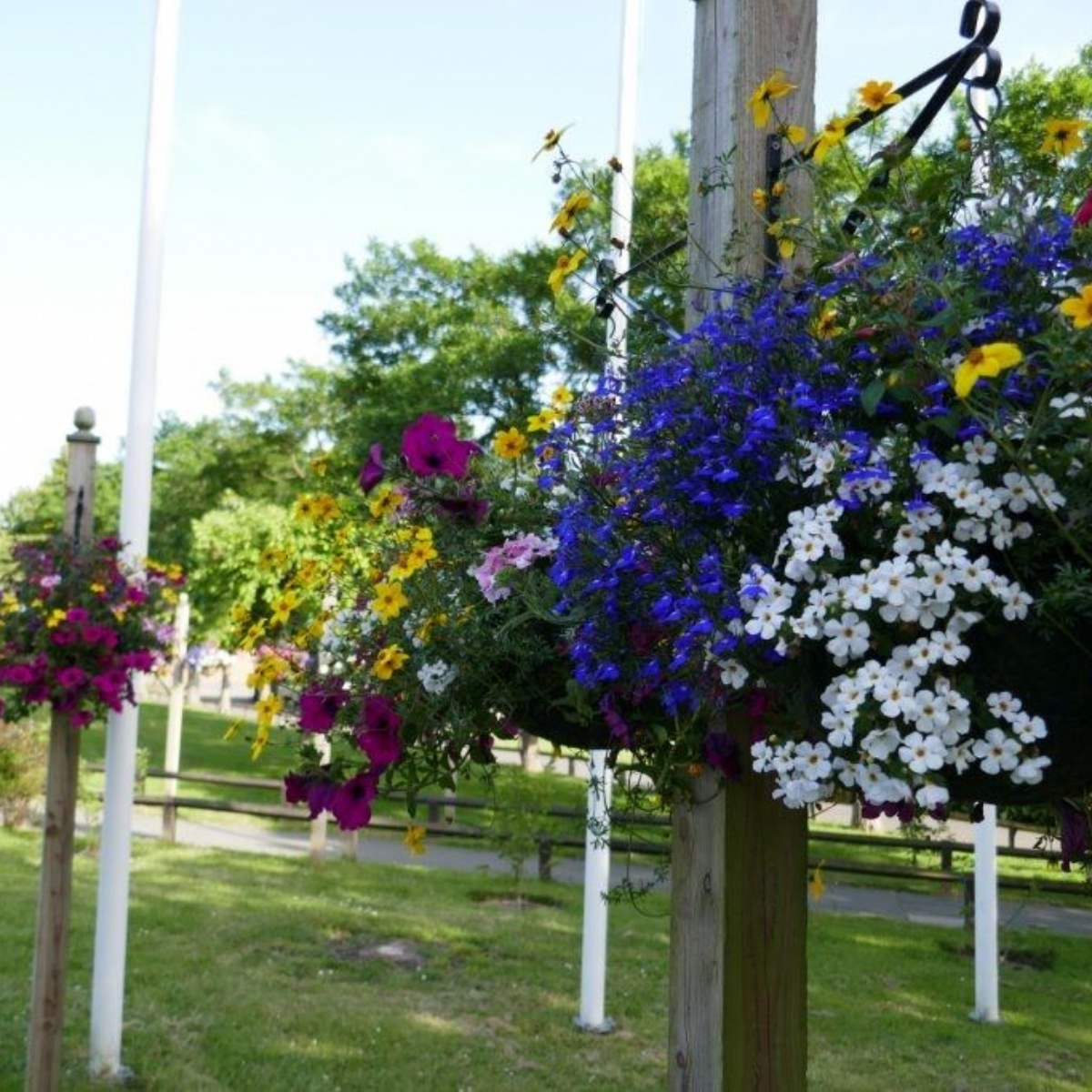 The Mountbatten School Hillier Gardens Year 7